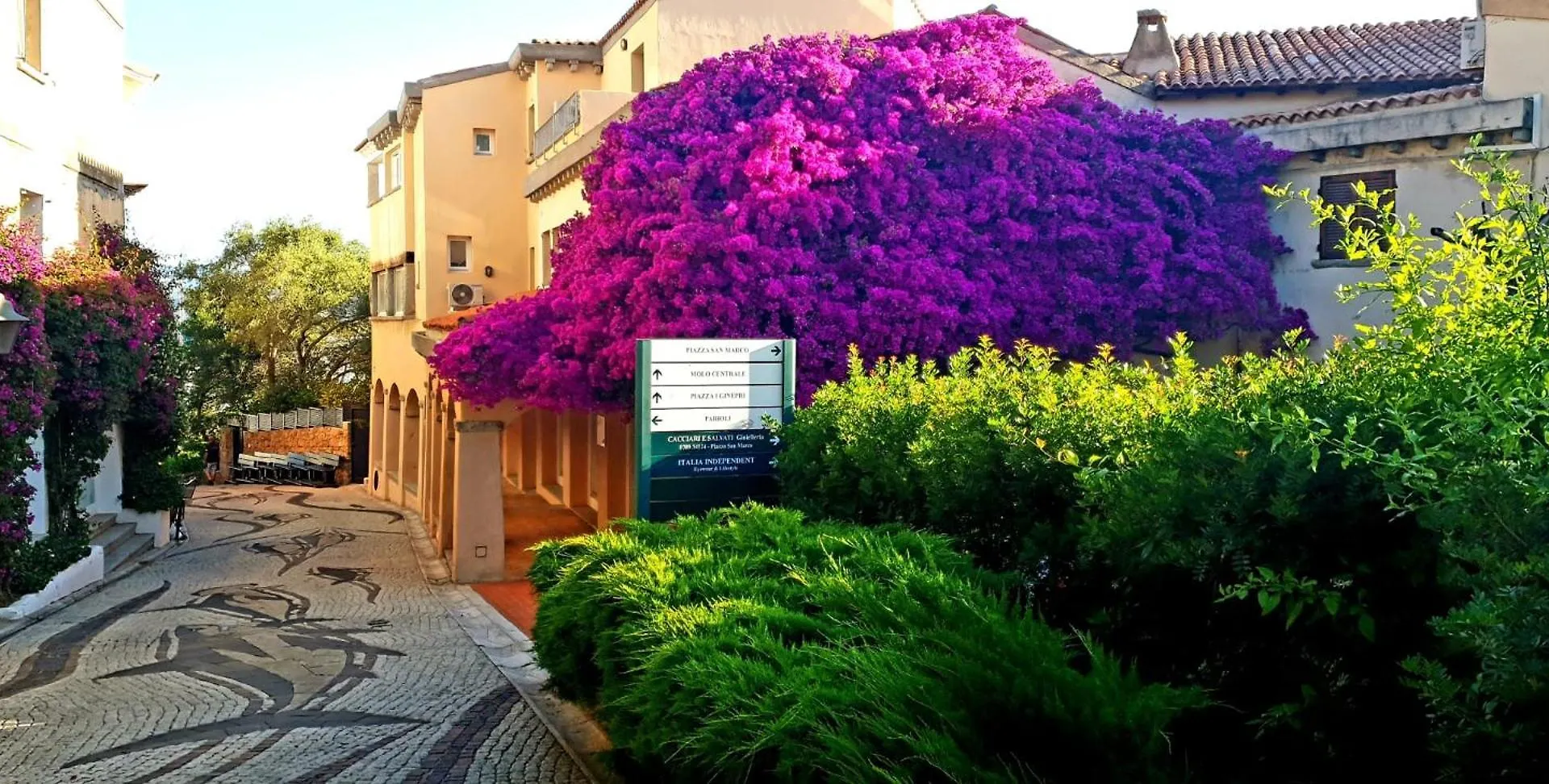 Residence Bouganville Porto Rotondo